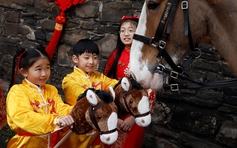 Xủ quẻ năm Bính Ngọ