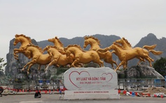 Ngắm 'Bát mã truy phong' bên vịnh Hạ Long