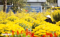 Quảng Trị: Phố phường Nam Đông Hà rực rỡ cờ hoa chào xuân Bính Ngọ