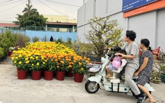 Hoa tết 2026 tràn ngập đường phố TP.HCM: Người dân chỉ cần thích là ghé lựa