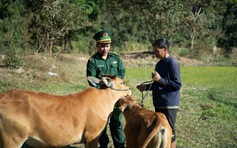 Tết ấm biên cương ở Quảng Ngãi, gieo 'hạt giống' nơi Dục Nông hút gió