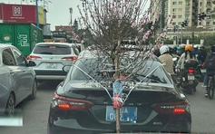 Xử lý xe biển xanh buộc cành đào che lấp biển số