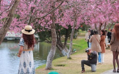 Thợ ảnh dạo Đà Lạt: Bỏ in hình, chuyển sang 'bắn' file, thu tiền triệu mỗi ngày