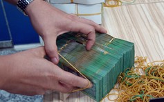 Luân chuyển cán bộ thuế trước bạ nhà đất, vàng bạc trước ngày 28.2