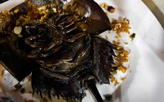 Cà Mau: 3 ca nhập viện nghi ngộ độc, một quán ốc bị tạm dừng hoạt động