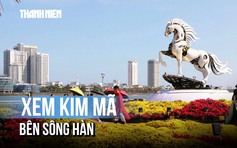 Linh vật Kim Mã hút khách, trở thành điểm 'check in' cận Tết tại Đà Nẵng