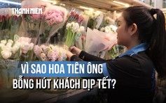Chợ hoa Hồ Thị Kỷ: Hoa Tiên Ông được khách hỏi mua liên tục dịp Tết