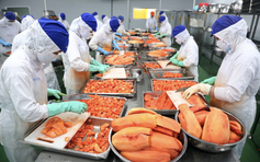 Xuất khẩu rau quả đạt 'kỷ lục kép', kỳ vọng lập đỉnh 10 tỉ USD