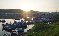 Du xuân ở Lý Sơn, có gì hấp dẫn?