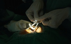 8 cuộc đời được hồi sinh nhờ tạng hiến của nam thanh niên chết não