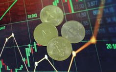 Giá Bitcoin hôm nay 23.2.2026: BTC rung lắc, nhà đầu tư nhỏ gánh thiệt hại lớn