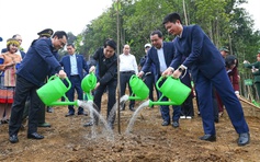 Chủ tịch nước Lương Cường: Tết trồng cây lan tỏa trách nhiệm bảo vệ môi trường