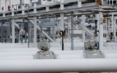 Lợi ích quyết định hành xử