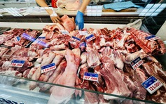 Giá heo hơi hôm nay 26.2.2026: Còn giảm đến bao giờ?
