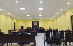 Bác toàn bộ kháng cáo vụ án nữ doanh nhân thủy sản hủy hoại tài sản