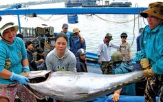 Quyết liệt gỡ 'thẻ vàng' IUU