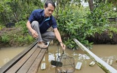 Nuôi ngọc trai ở cù lao để làm du lịch