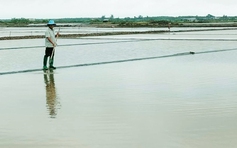 Cà Mau: Mưa trái mùa liên tục 2 ngày, hơn 9.100 tấn muối tan thành nước