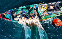 Ruốc biển Quảng Ngãi nhuộm hồng mặt biển, ngư dân thu tiền triệu mỗi ngày