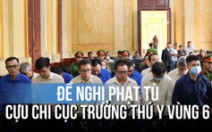 Cựu lãnh đạo và nhân viên Chi cục Thú y vùng 6 bị đề nghị mức án nào?
