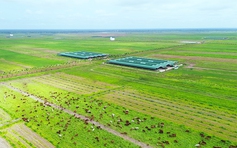 Thị trường Lào, Campuchia ngày càng quan trọng