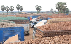 Hàng hóa tại các cửa khẩu ở Tây Ninh đã thông suốt