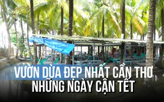 Vườn dừa đẹp nhất Cần Thơ tấp nập đón khách ngày giáp Tết Bính Ngọ