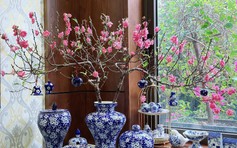 Cách chọn và chăm sóc hoa đào để nở đúng tết, lâu rụng cánh