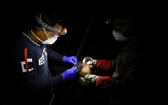 Vi rút Nipah gây tử vong ở Bangladesh