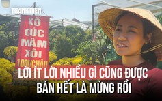 Hoa Tết Bính Ngọ 2026: Nỗi lo kép từ nhà vườn và tiểu thương