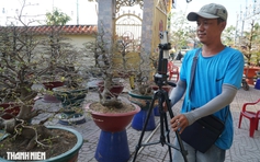 Bán mai tết bằng livestream: Nhà vườn ở đường Phạm Văn Đồng ‘lên sóng’ chốt đơn