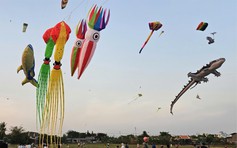 Cánh đồng ngoại ô TP.HCM cuối tuần rợp trời diều khổng lồ