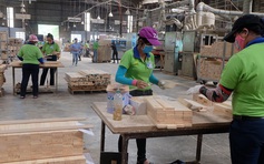 Doanh nghiệp lo lắng về biến động giá năng lượng và nguyên vật liệu đầu vào