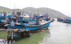 Giá dầu tăng cao, nhiều tàu cá Quảng Ngãi ngại vươn khơi