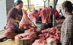 Giá heo hơi hôm nay 11.3.2026: Đà giảm chưa dứt