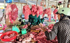 Giá heo hơi hôm nay 13.3.2026: Tiếp tục giảm nhẹ 