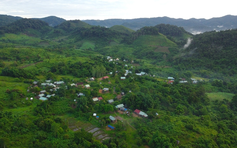 Bầu cử Quốc hội: Làng biệt lập ở Gia Lai hoàn thành bỏ phiếu sớm giữa núi cao