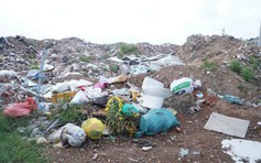 Bờ kè sông Dinh biến thành bãi rác vì nạn đổ trộm