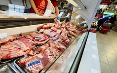 Giá heo hơi hôm nay 17.3.2026: Bất ngờ tăng