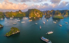 Lắp 10 điểm Starlink phủ sóng internet trên vịnh Hạ Long