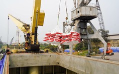 Giá phân bón tăng vì nguồn cung bị ảnh hưởng