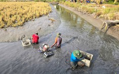 Cà Mau chuyển đổi 88 ha đất lúa sang cây trồng và nuôi thủy sản