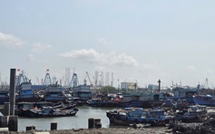 Vì sao TP.HCM chưa chi tiền hỗ trợ cho hàng trăm chủ tàu cá?