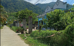 Lâm Đồng: Điều tra vụ án mạng sau tiệc nhậu ở Đồng Kho