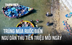 Cận cảnh ngư dân Quảng Ngãi bắt ruốc trên biển, thu tiền triệu mỗi ngày