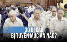 Chi tiết mức án 30 bị cáo trong vụ cấp chứng chỉ lái xe trái phép