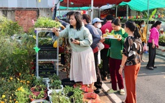 Tại nơi này có tặng cây giống miễn phí, ai cần cứ đến lấy