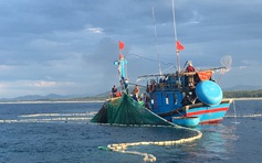 'Mật ngọt' từ biển Mỹ Á