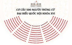 Cơ cấu, trình độ 500 người trúng cử đại biểu Quốc hội khóa XVI