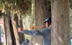 Truy tìm người bắn chim giữa phố Đà Lạt, hành hung phóng viên khi bị nhắc nhở